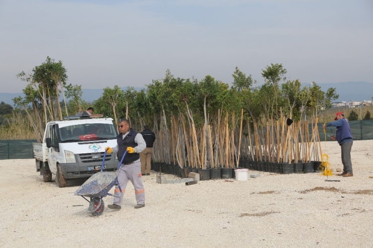 Erdemli Çiçek Serası Yenileniyor