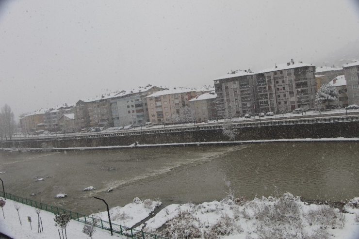 Devrek Beyaza Büründü