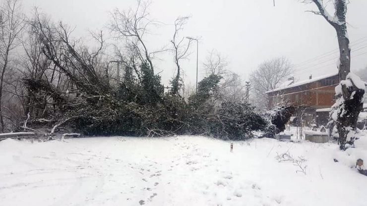 Kapanan Yenice Yolu Yeniden Trafiğe Açıldı