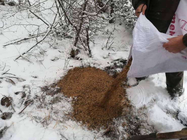 Yaban Hayatı İçin Doğaya Yem Bırakıldı