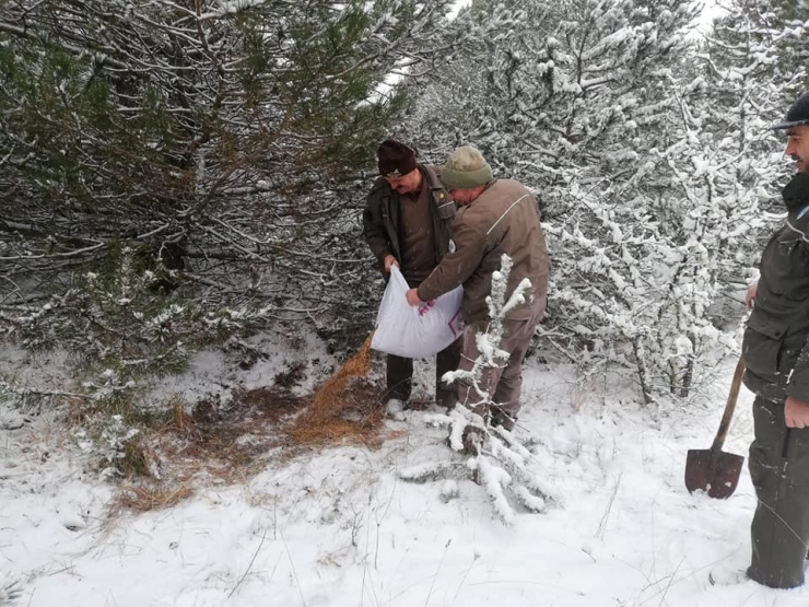 Yaban Hayatı İçin Doğaya Yem Bırakıldı