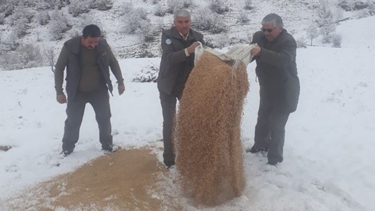 Kırıkkale’de Hayvanlar Aç Kalmasın Diye Doğaya Yem Bırakıldı