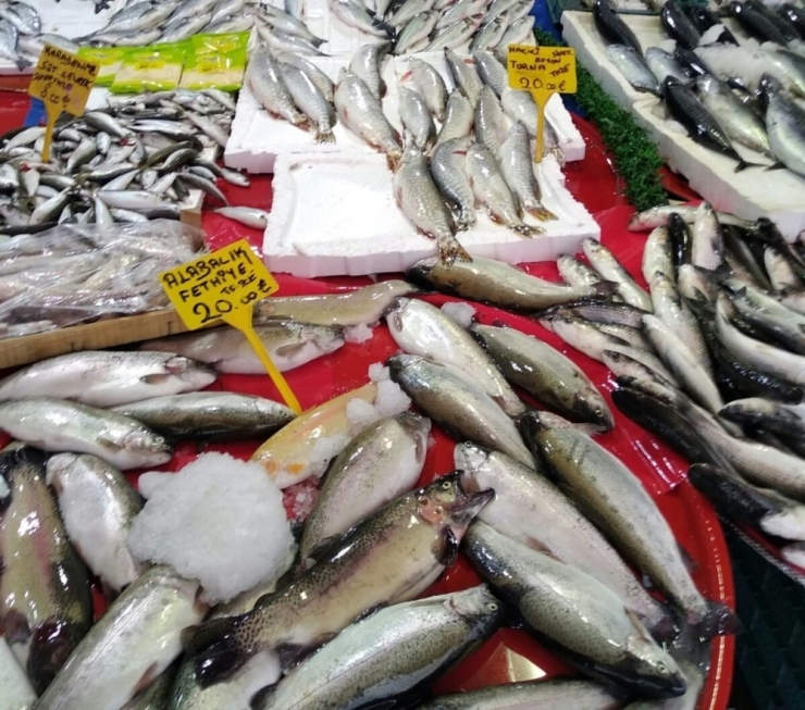 Üreme Dönemindeki Balıkların Satışına 30 Bin Lira Ceza