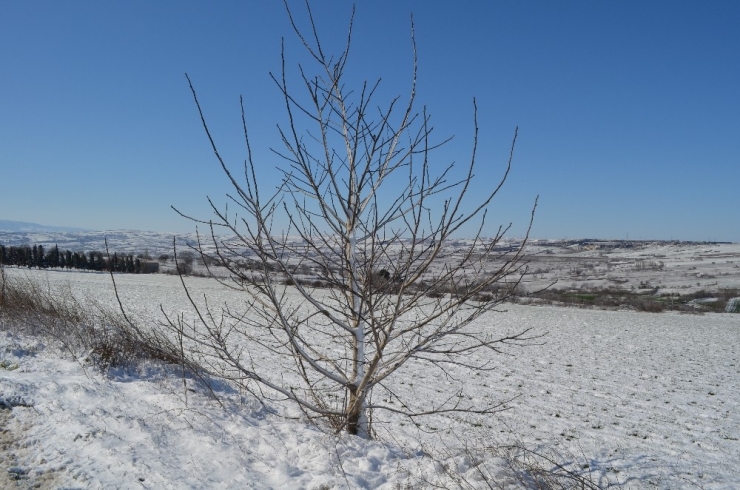 Tekirdağ Beyaz Örtüyle Kaplandı