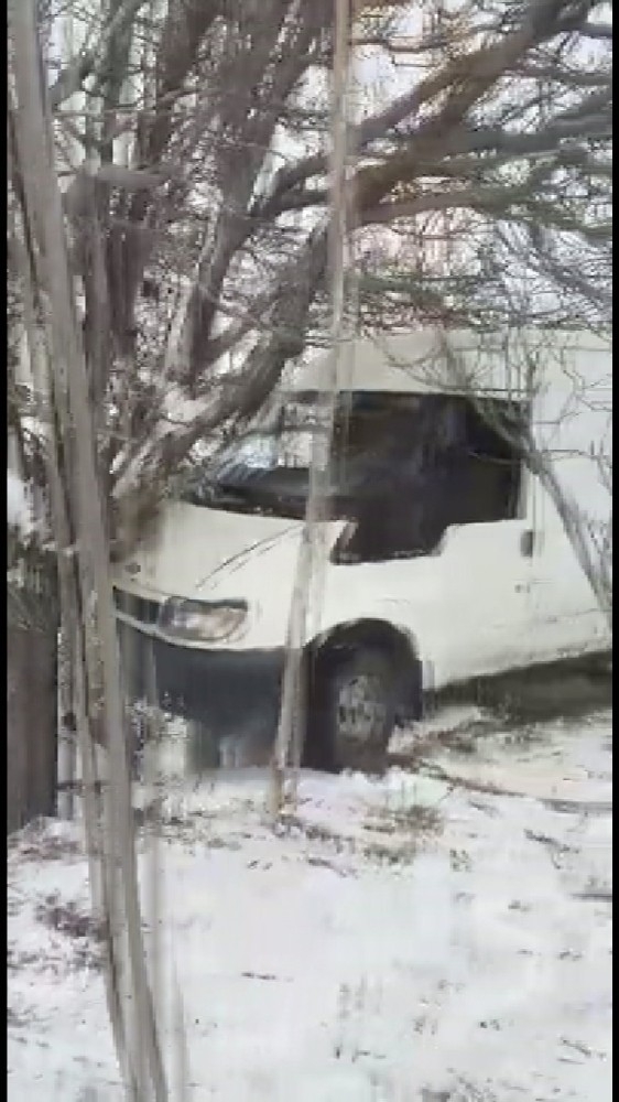 Ceviz Ağacı Hayatını Kurtardı