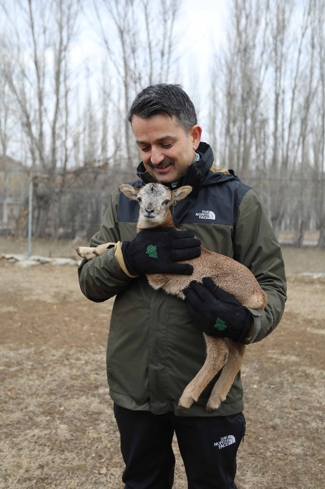 Bakan Pakdemirli, Doğa Ve Yaban Hayatıyla İç İçe Bir Gün Geçirdi