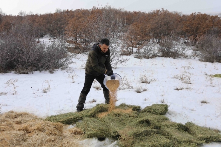 Bakan Pakdemirli, Doğa Ve Yaban Hayatıyla İç İçe Bir Gün Geçirdi