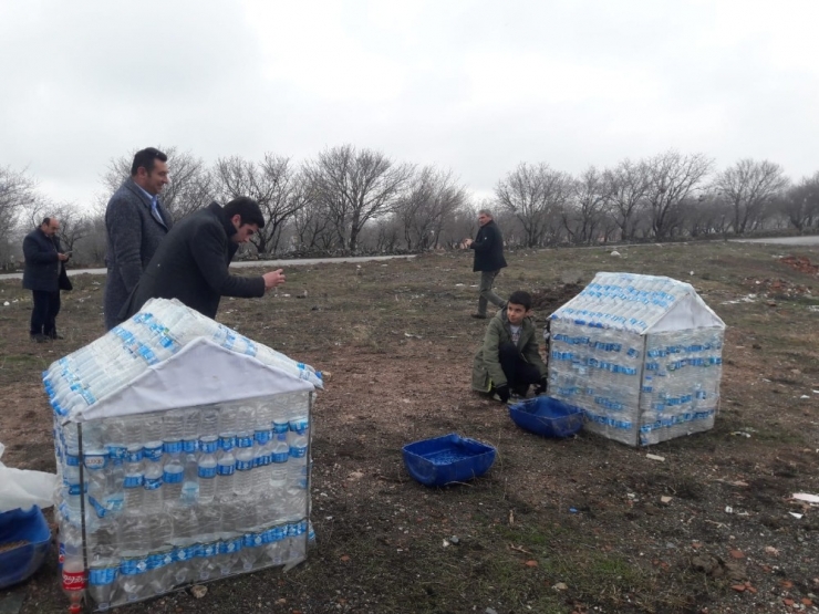 2 Bin 500 Pet Şişeden 10 Köpek Barınağı Yaptılar