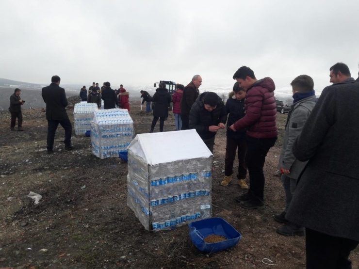 2 Bin 500 Pet Şişeden 10 Köpek Barınağı Yaptılar