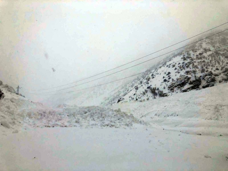 Van-çatak Kara Yoluna Peş Peşe Çığ Düşüyor