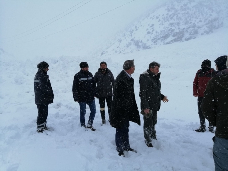 Van-çatak Kara Yoluna Çığ Düşmesi