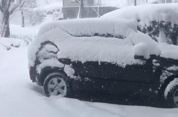 Yoğun Kar Yağışı Rize’yi Etkisi Altına Aldı