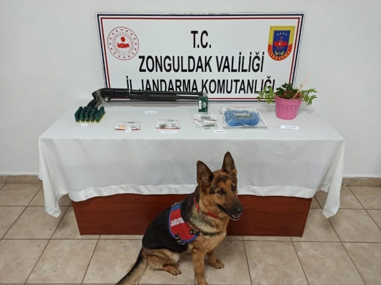 Jandarmadan Uyuşturucu Operasyonu: 5 Gözaltı