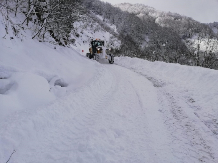 Ordu’da Yoğun Kar Mesaisi