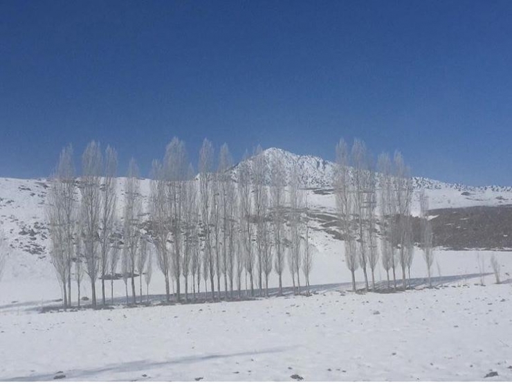 Su Birikintisine Düşen Araç Buz Tuttu