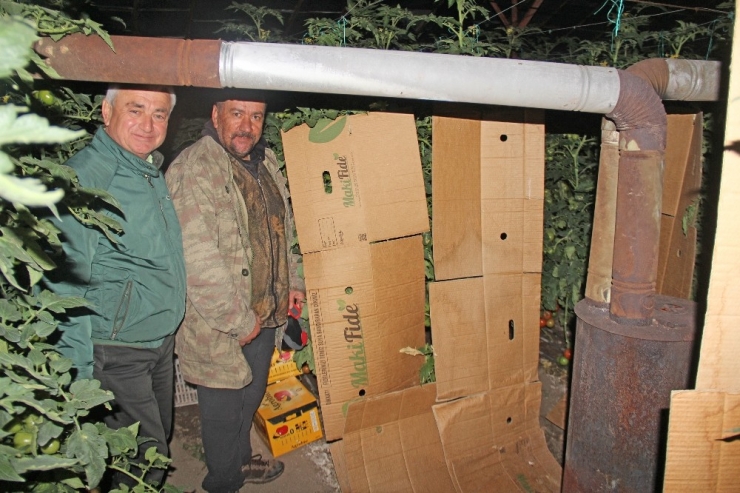 Başkan Geyikçi Finikeli Çiftçilerle Don Nöbetinde