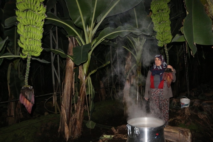 Alanya’da Üreticinin Don Nöbeti