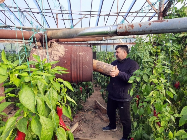 Seralarda Buz Sarkıtları Oluştu