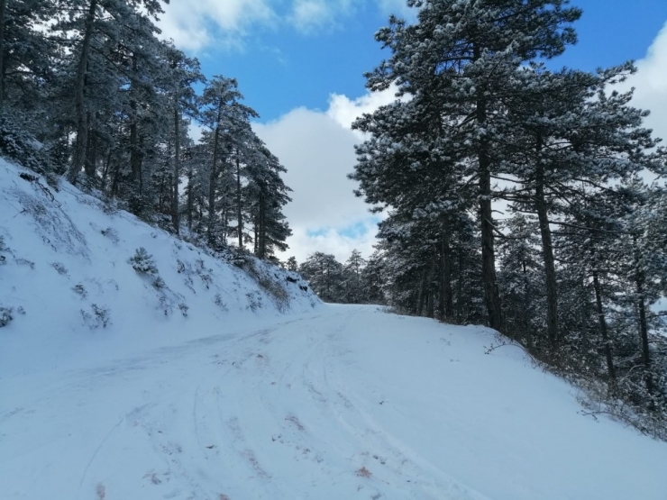 Sındırgı’da Kar Kartpostallık Görüntüler Oluşturdu