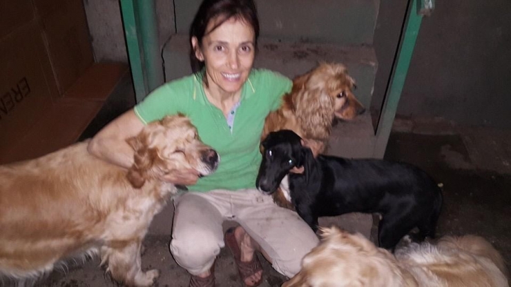 Öğrencileriyle Sokak Köpeklerini Besliyor