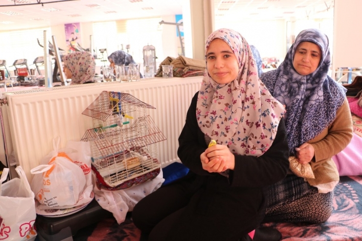 Depremde Evindeki Her Şeyi Bıraktı, Kuşlarını Kurtardı