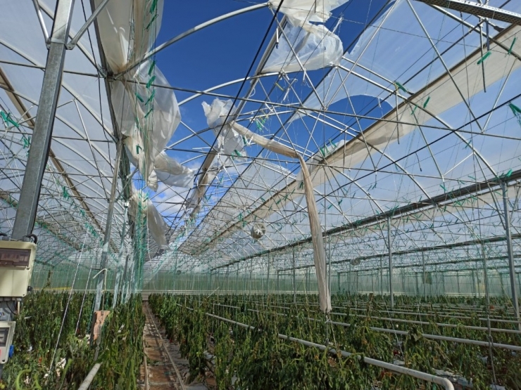 Fırtına Kahta’daki Seraları Vurdu