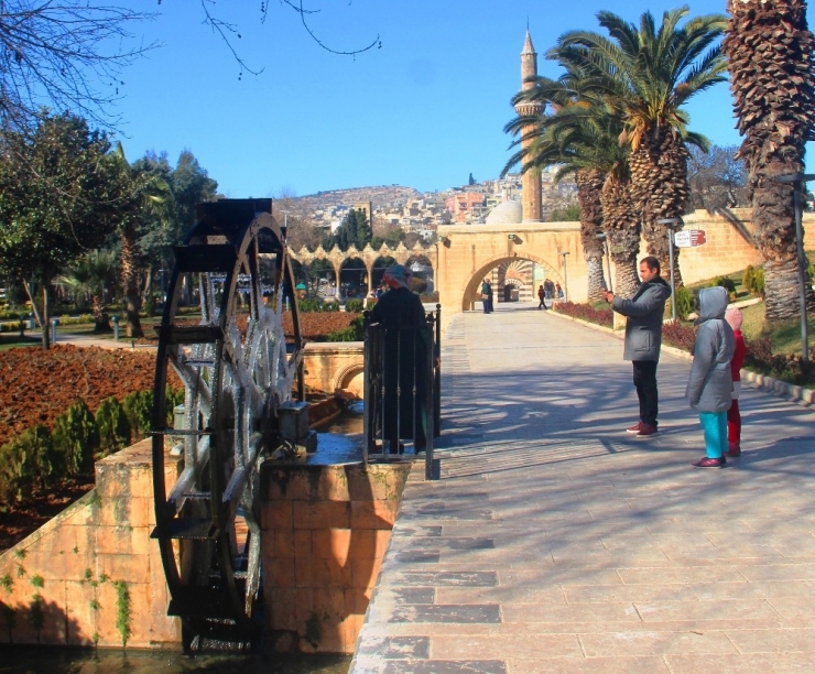 Şanlıurfa Eksi Dereceyi Görünce Süs Havuzları Buz Tuttu