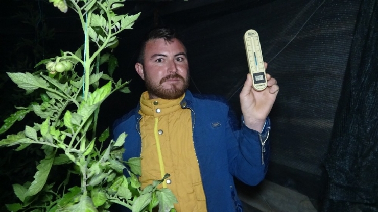 Mersin’de Çiftçilerin Sazlı Türkülü Zirai Don Nöbeti