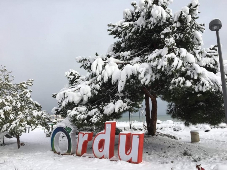 Ordu’da Yarın Okullar Tatil