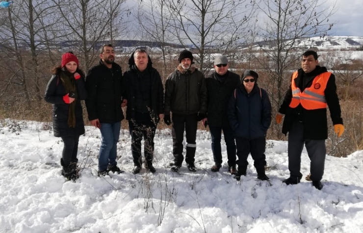 Bafra’da Sokak Köpekleri Unutulmadı