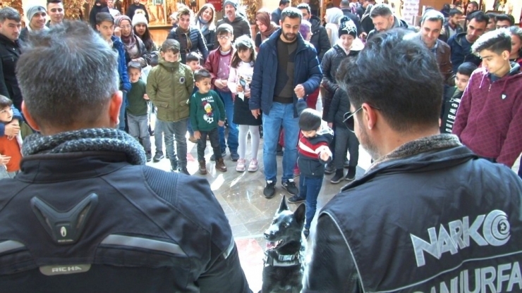 Şanlıurfa’da Narkotik Köpeği ’Kyra’ İlgi Odağı Oldu