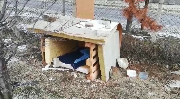 Soğukta Kalan Anne Köpek Ve 5 Yavrusuna İtfaiyeciler Sahip Çıktı