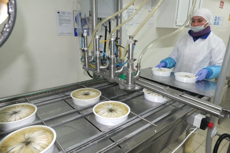 Korona Virüsü Donmuş Su Ürünlerine Talebi Artıracak