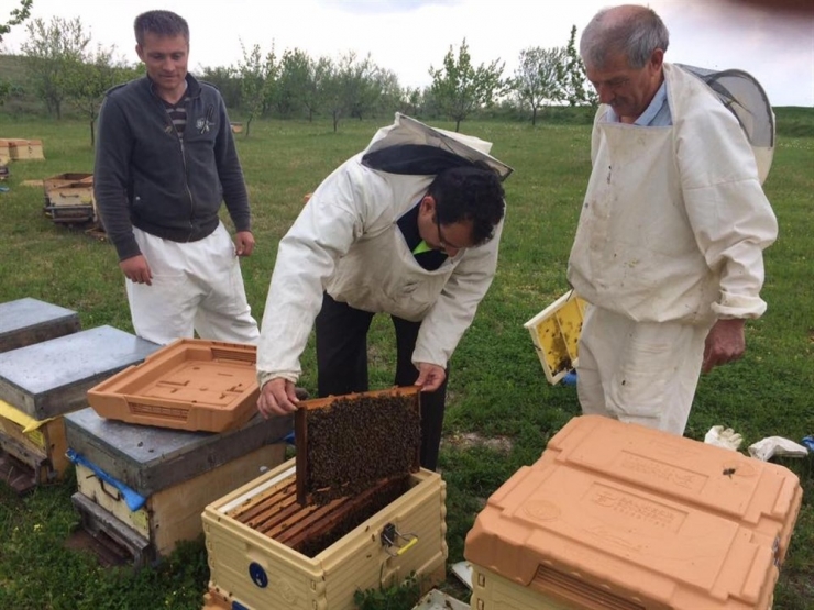Büyükşehir’de Arıcılık Eğitim Başladı