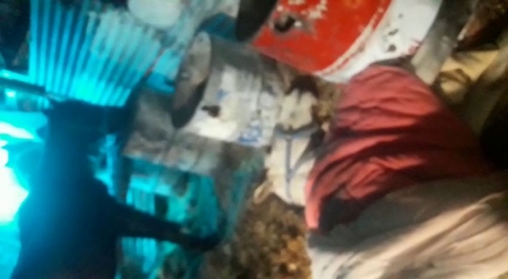 Büyükada’daki Karantina Altındaki Atların İçler Acısı Hali Kamerada