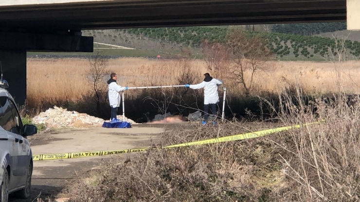 Büyükçekmece’de Vücudunda Çok Sayıda Bıçak Darbesi Olan Erkek Cesedi Buldu