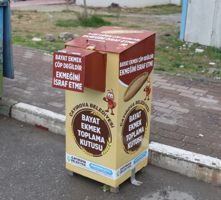 İsrafa Karşı Bayat Ekmek Kutusu