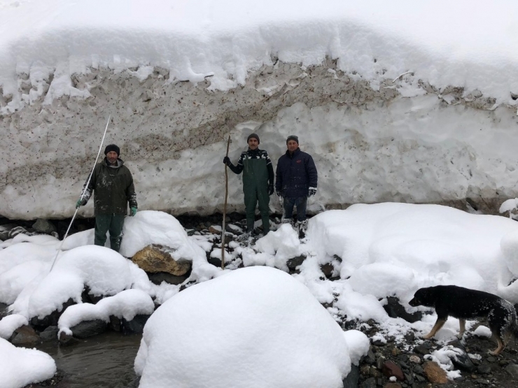 Kepçe Operatörünü Arama Çalışmaları 7. Günde De Sürüyor