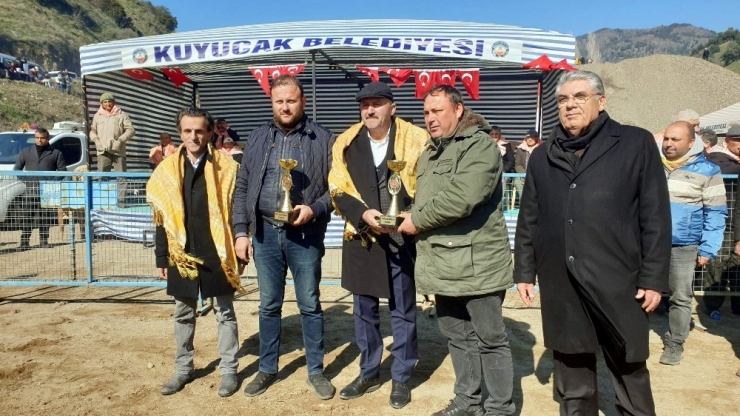 Kuyucak’ta Develer Depremzedeler Yararına Güreşti