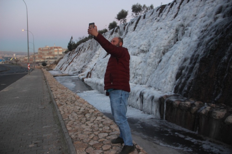 Manzarayı Gören Fotoğraf Çekmek İçin Koştu