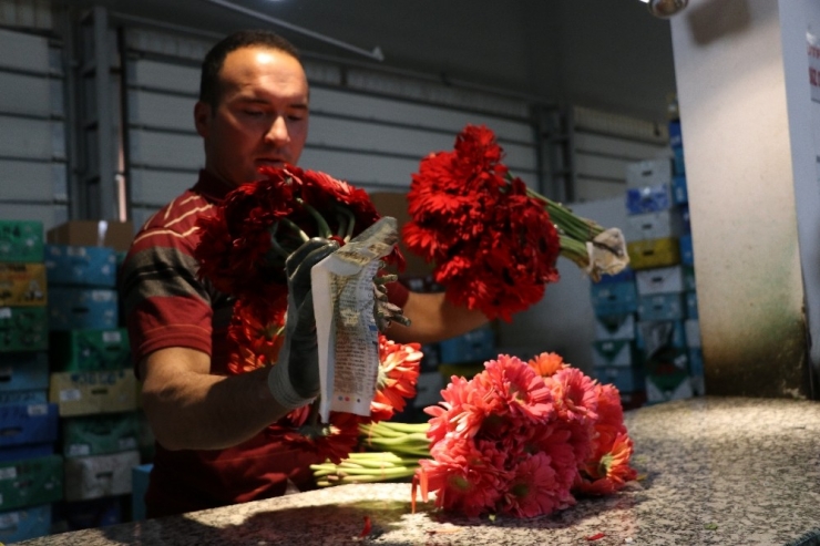 Çiçekçiler Korsanlardan Dertli