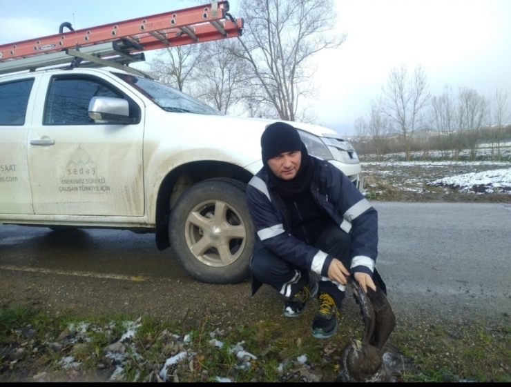 Sedaş Ekipleri Yaralı Buldukları Doğan’a Yardım Etti