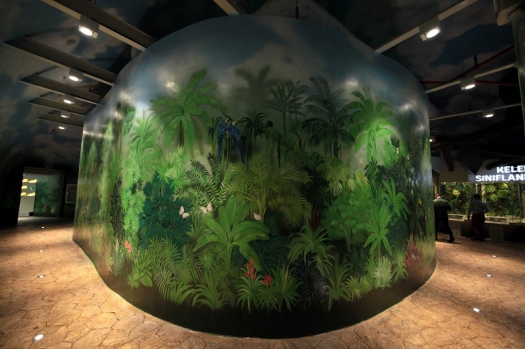 Tropikal Kelebek Bahçesi Yenilenen Yüzüyle Kapılarını Açıyor