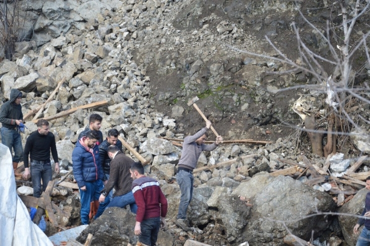 Dağdan Kopan Kayalar Ahırın Üzerine Düştü, Çok Sayıda Hayvan Telef Oldu