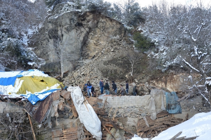 Dağdan Kopan Kayalar Ahırın Üzerine Düştü, Çok Sayıda Hayvan Telef Oldu