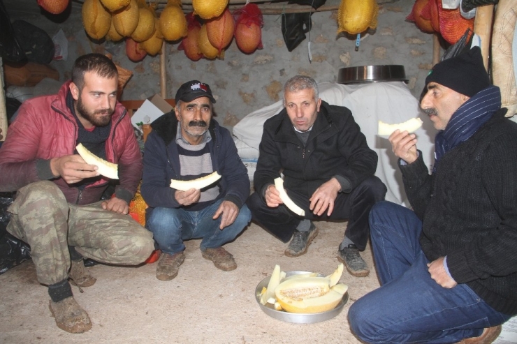 Tunceli’de Kış Günü Kavun