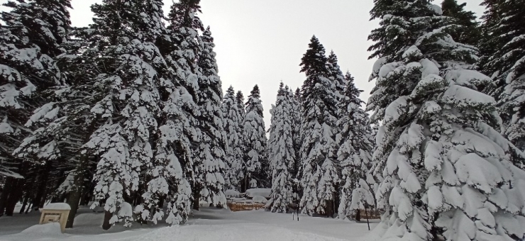 Uludağ’da Kar Kalınlığı 170 Santimetreye Ulaştı