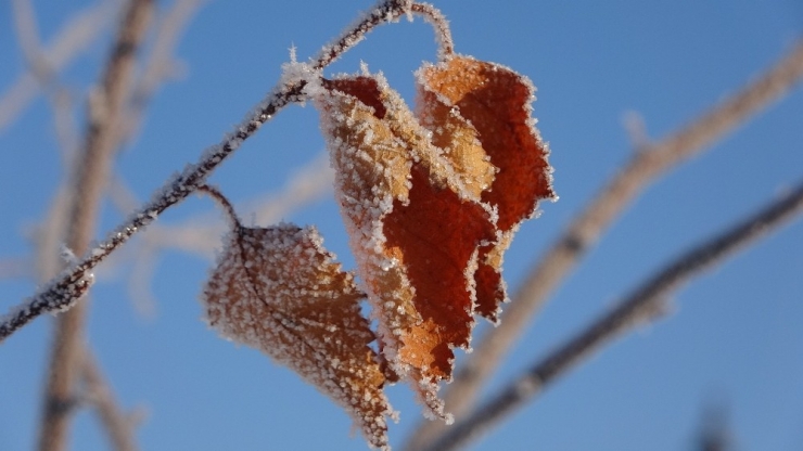 Ardahan Buz Şehre Döndü: Termometreler Eksi 38’i Gördü
