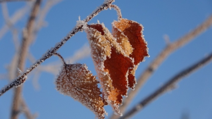 Ardahan Buz Şehre Döndü: Termometreler Eksi 38’i Gördü