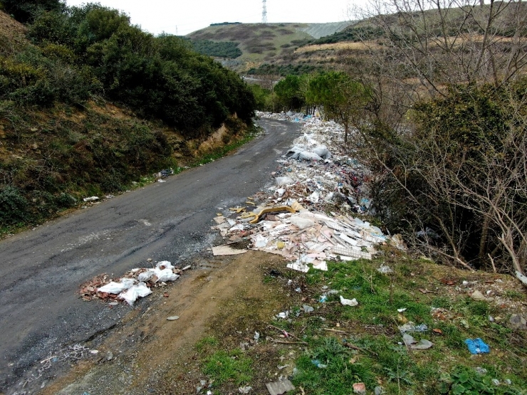 Ormanı Molozla Doldurdular